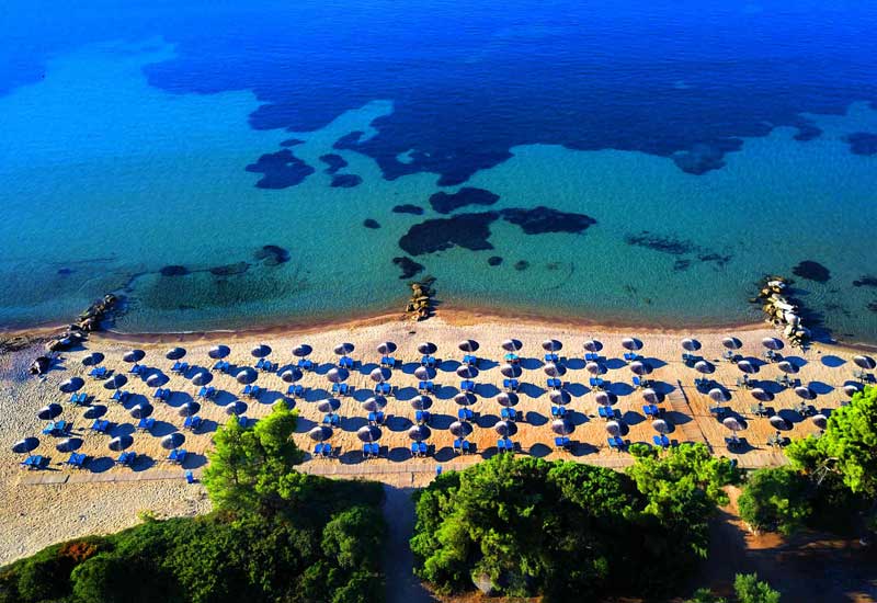 Blue Dolphin Resort Greece, luxury resort Halkidiki, luxury rooms and suites Halkidiki, Halkidiki spa resort, beachfront hotel Metamorfosi